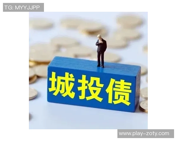 中赫九年投资八十亿背后的民营企业债务危机与挑战